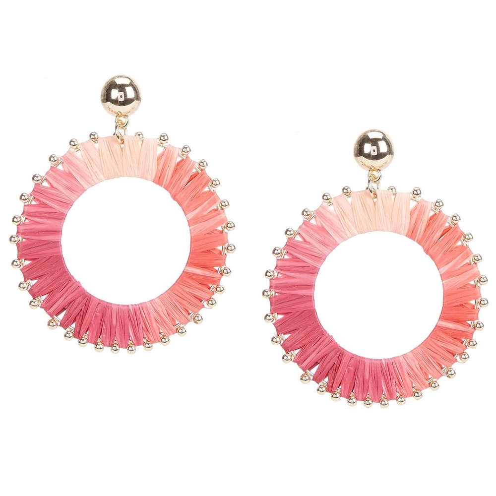 Anna & Ava Drop Hoop Ombré Earrings